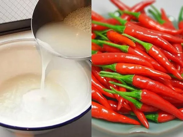 d&ugrave;ng nước vo gạo v&agrave; ớt khử m&ugrave;i măng chua